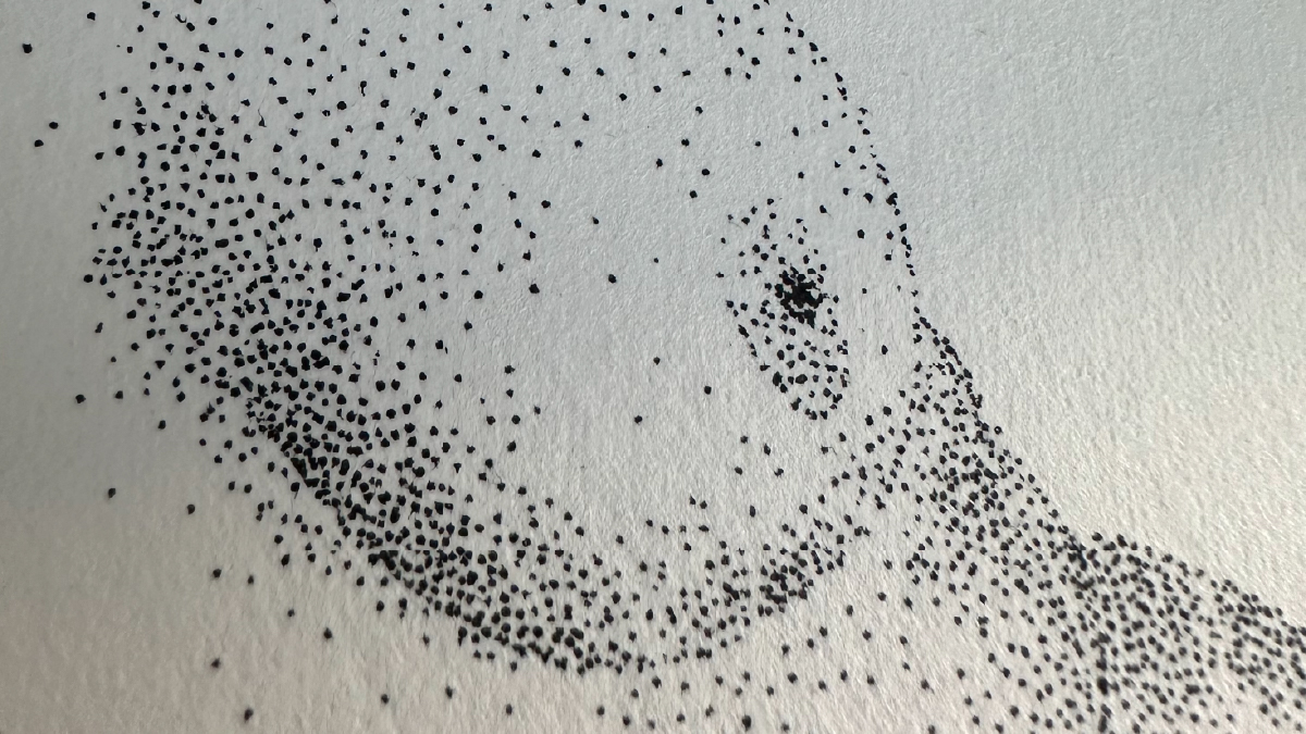 DOTS collection hero