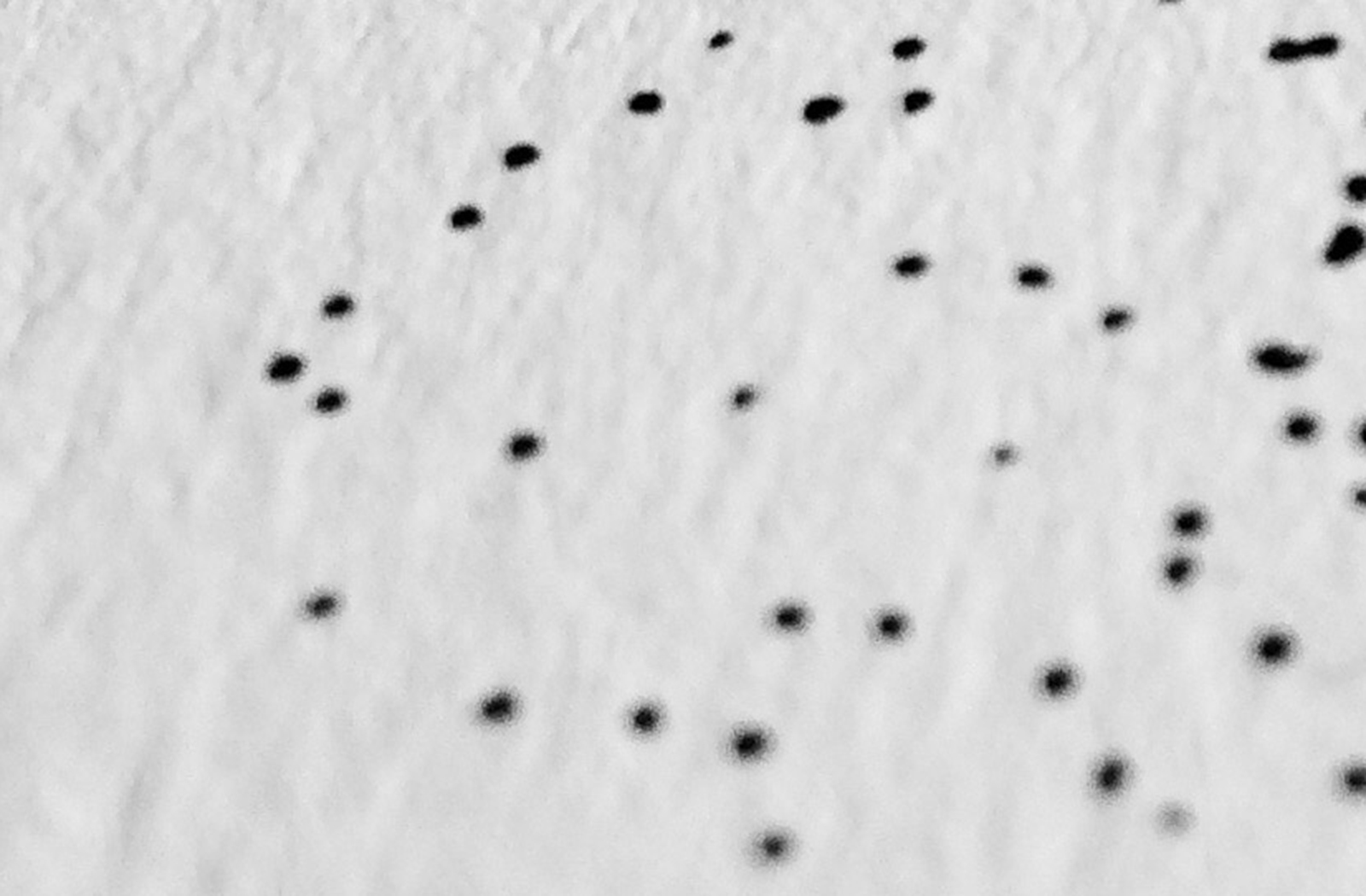 ARL Art - Contemporary artwork